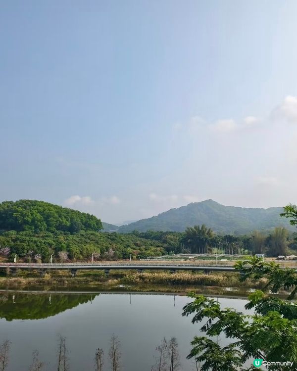 虹橋公園靚景🏞️ | 自駕遊攻略📝