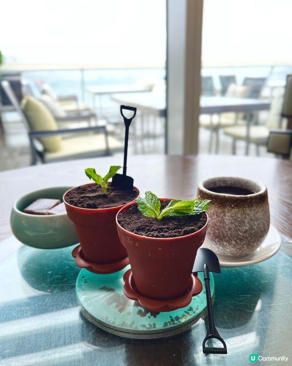 維港海景$268任食北京片皮鴨點心放題🎤