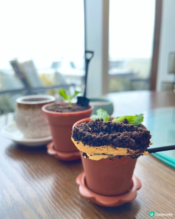 維港海景$268任食北京片皮鴨點心放題🎤