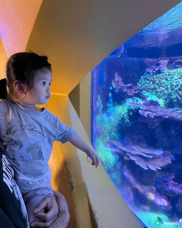 帶2歲小朋友去海洋公園