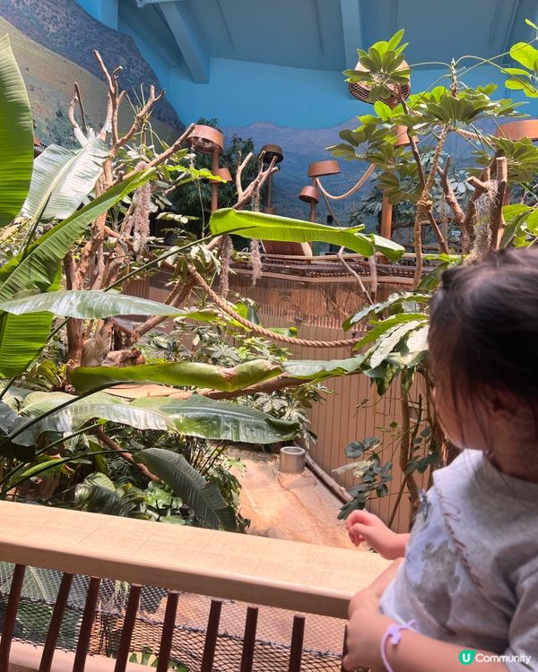 帶2歲小朋友去海洋公園