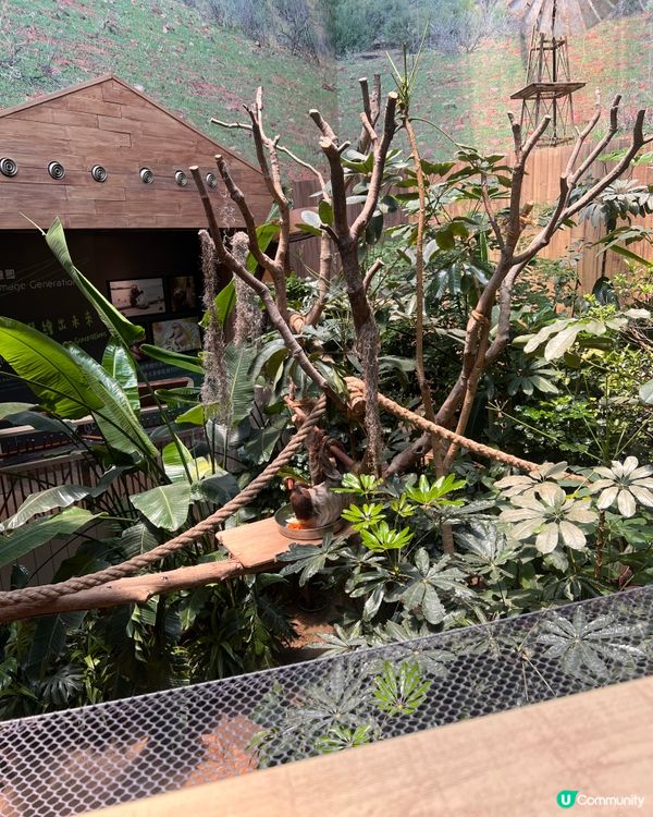 帶2歲小朋友去海洋公園