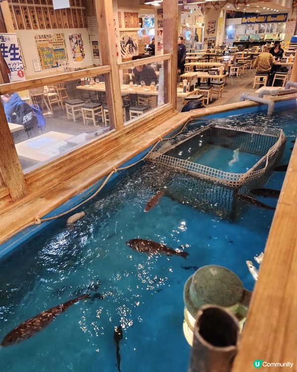 新世界釣魚樂！🤤 🐟