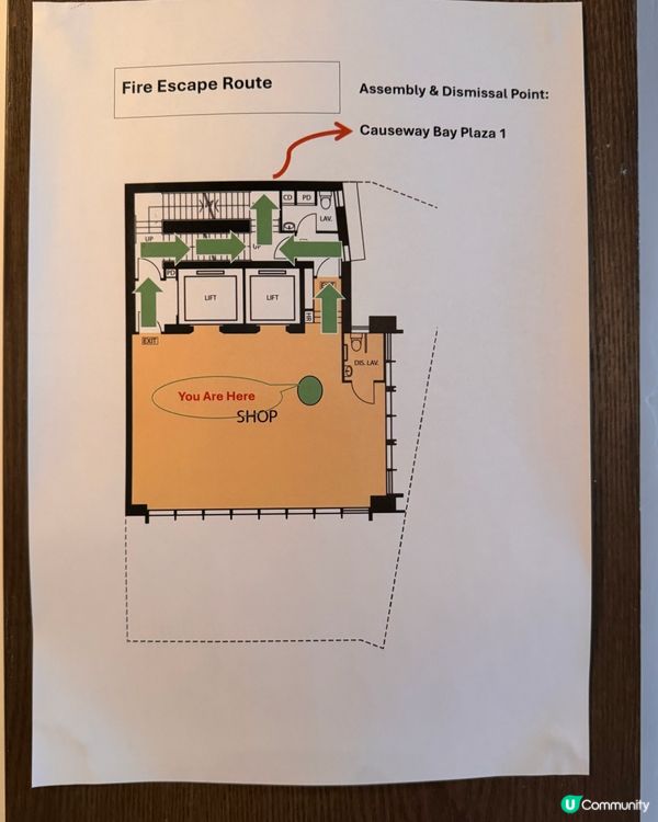 高知城安格斯😍入口即溶🥩