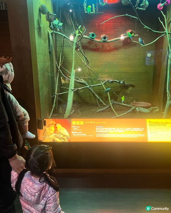 挪亞方舟一日遊：帶小朋友去放電！🐘🦒