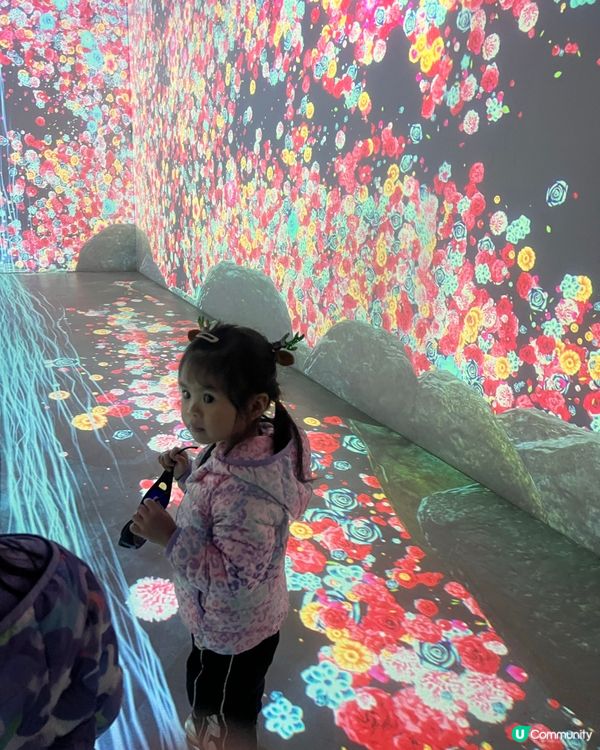 挪亞方舟一日遊：帶小朋友去放電！🐘🦒