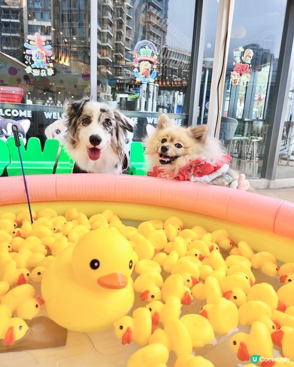 Grab ’n’ Go 隨玩‧隨食市集