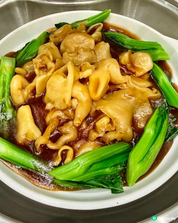 豪華海鮮任食！灣仔荀盤💥