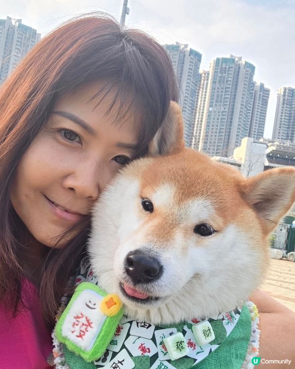 藍天白雲空氣好, 