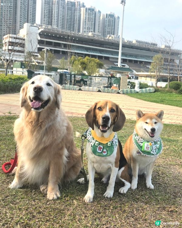 藍天白雲空氣好, 