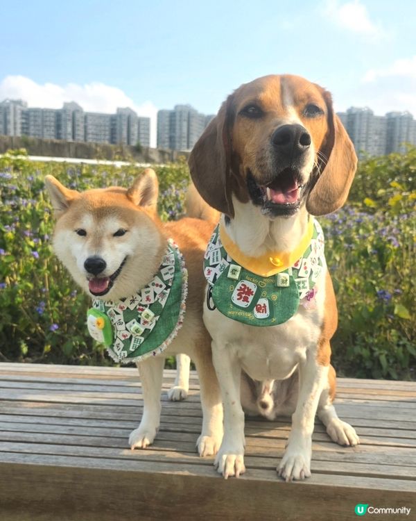 藍天白雲空氣好, 