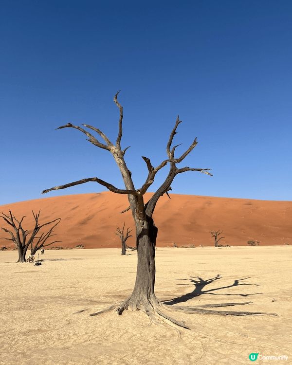 非洲納米比亞🇳🇦的Dead Valley （死亡谷）～紅沙漠...