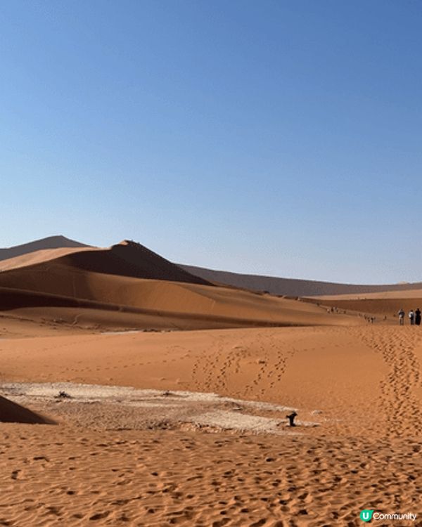 非洲納米比亞🇳🇦的Dead Valley （死亡谷）～紅沙漠...
