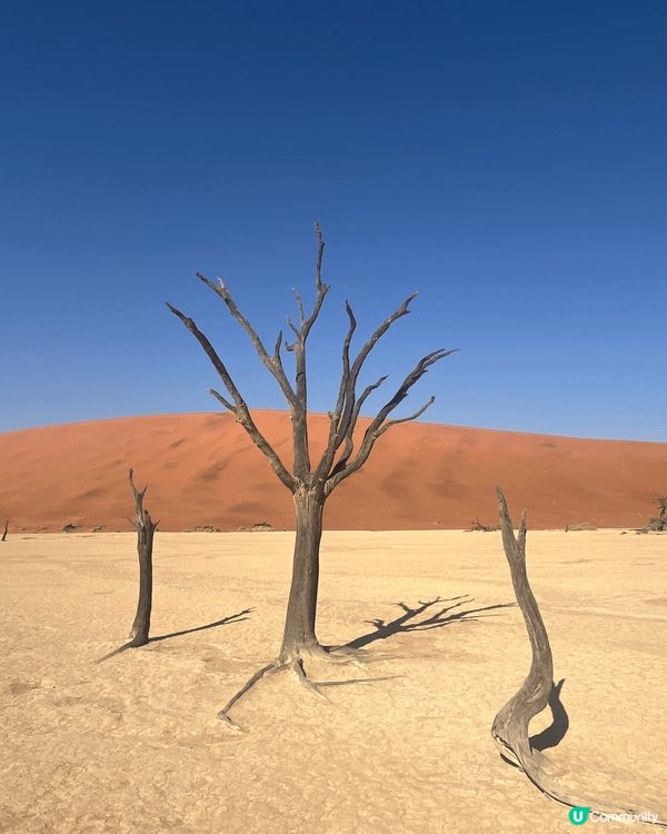 非洲納米比亞🇳🇦的Dead Valley （死亡谷）～紅沙漠...