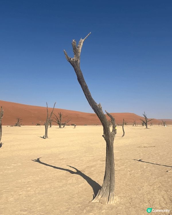 非洲納米比亞🇳🇦的Dead Valley （死亡谷）～紅沙漠...