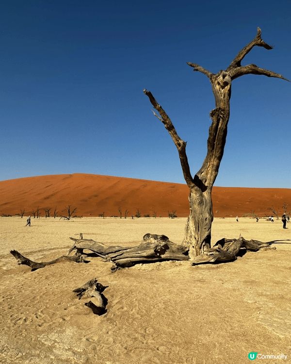 非洲納米比亞🇳🇦的Dead Valley （死亡谷）～紅沙漠...