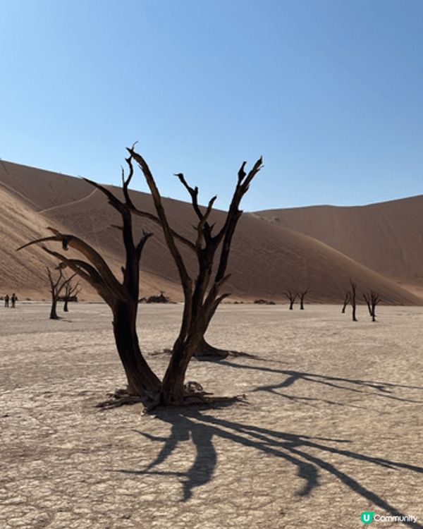 非洲納米比亞🇳🇦的Dead Valley （死亡谷）～紅沙漠...