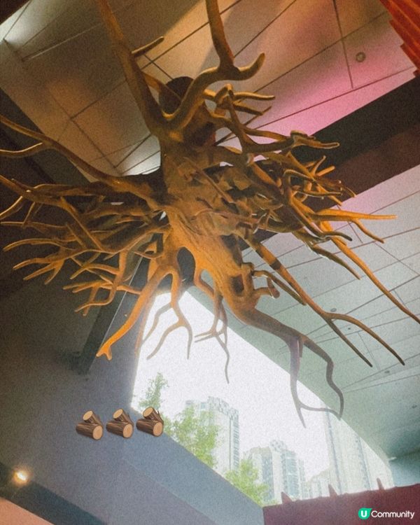 荃灣木化石體驗館🗿