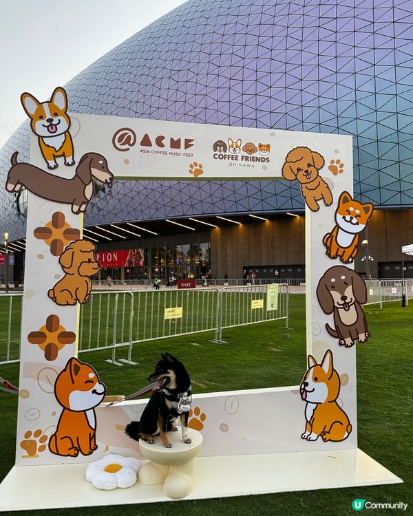 首屆咖啡音樂節開鑼！☕🎶