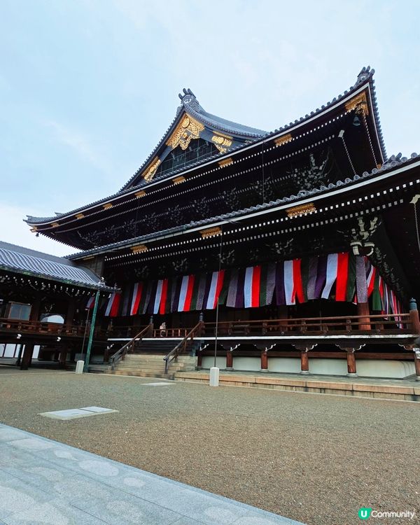 櫻花詩意滿東本願寺🌸🌳