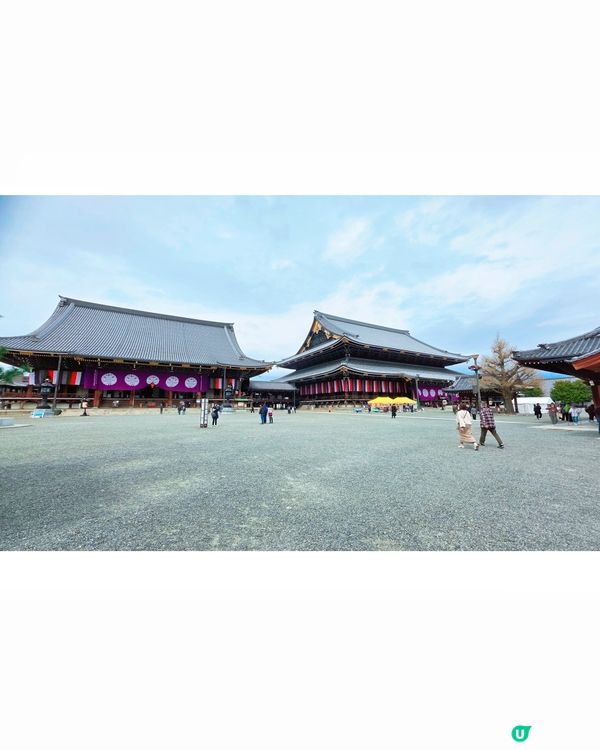 櫻花詩意滿東本願寺🌸🌳