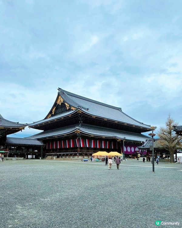 櫻花詩意滿東本願寺🌸🌳