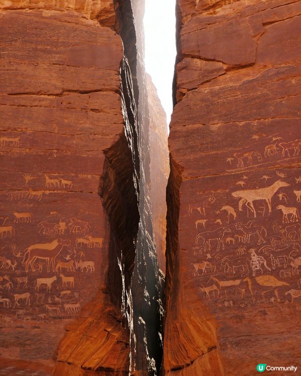 這裡不是火星😱😱😱