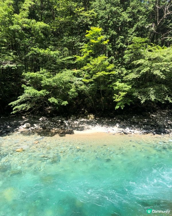 環遊日本🇯🇵｜長野超小眾夏日郊外景點🍃