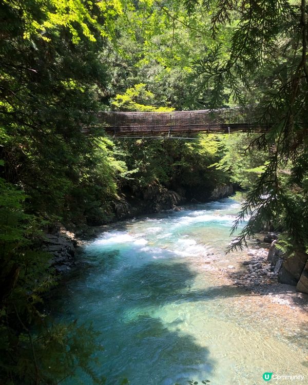 環遊日本🇯🇵｜長野超小眾夏日郊外景點🍃