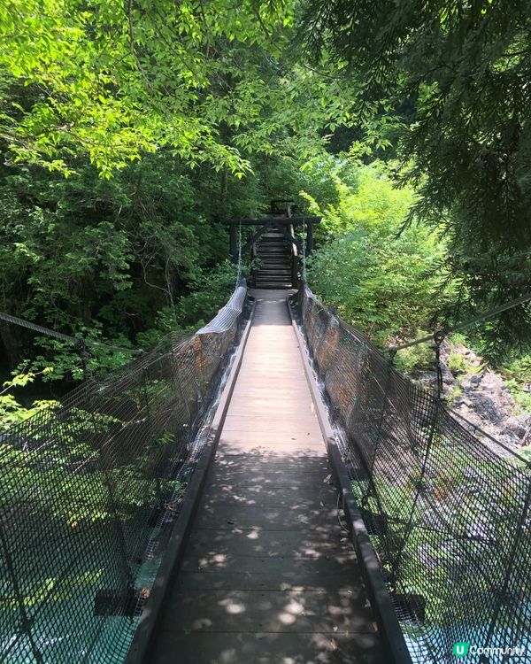 環遊日本🇯🇵｜長野超小眾夏日郊外景點🍃