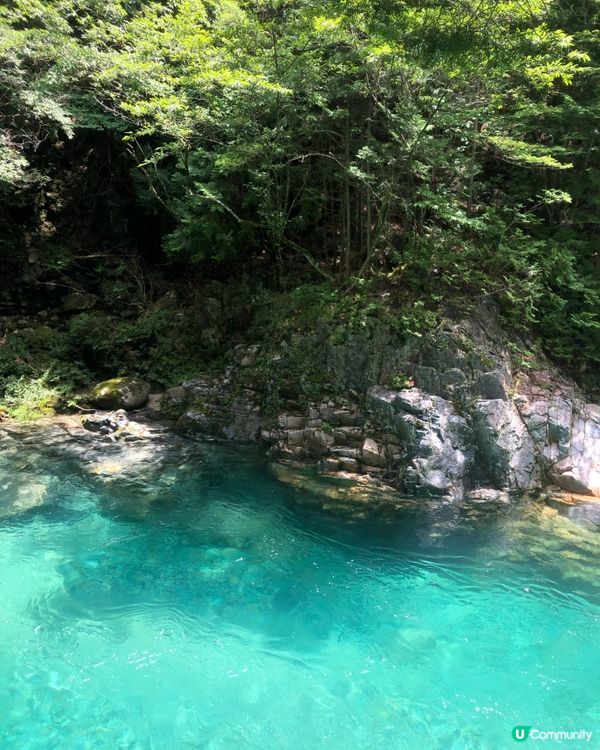 環遊日本🇯🇵｜長野超小眾夏日郊外景點🍃