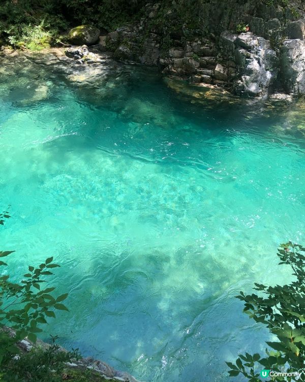 環遊日本🇯🇵｜長野超小眾夏日郊外景點🍃