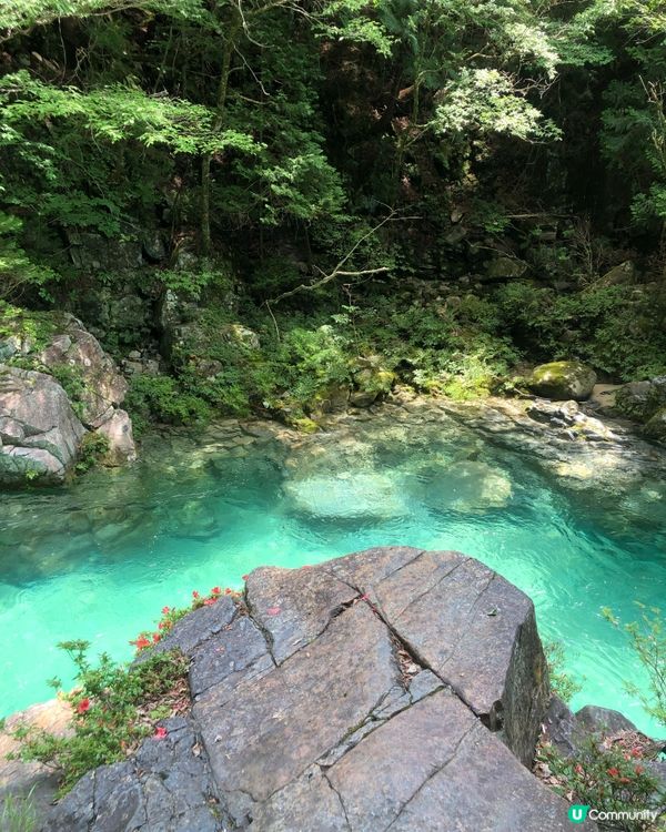 環遊日本🇯🇵｜長野超小眾夏日郊外景點🍃