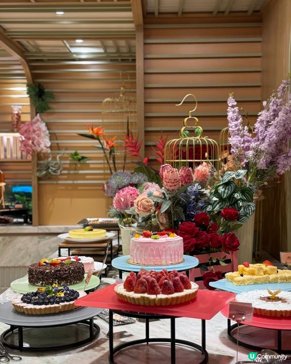 沙田自助晚餐推介