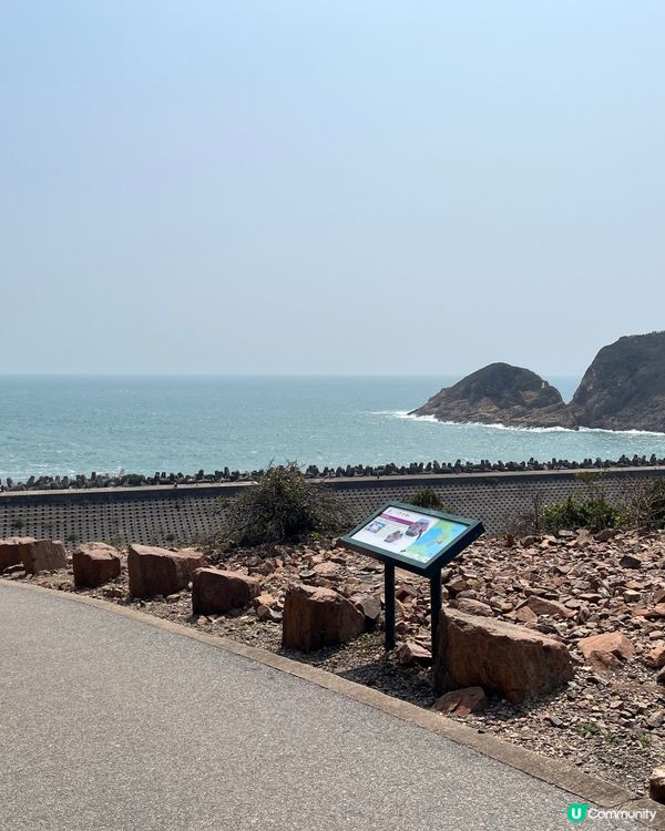 東霸包車好威風 🤩💳