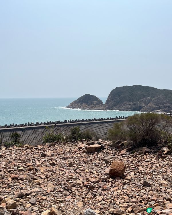 東霸包車好威風 🤩💳