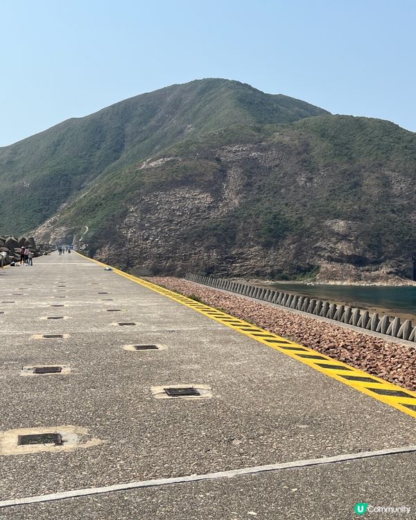 東霸包車好威風 🤩💳