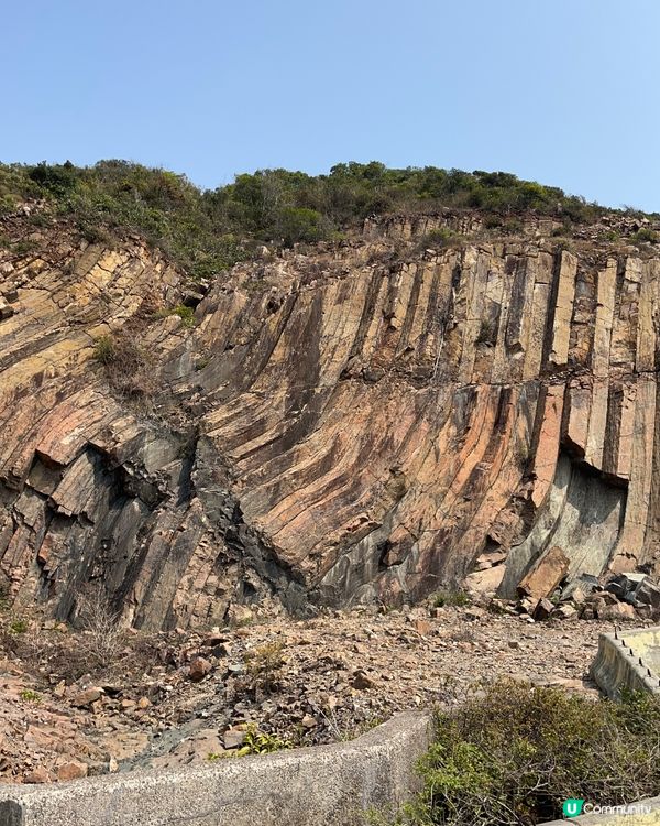 東霸包車好威風 🤩💳