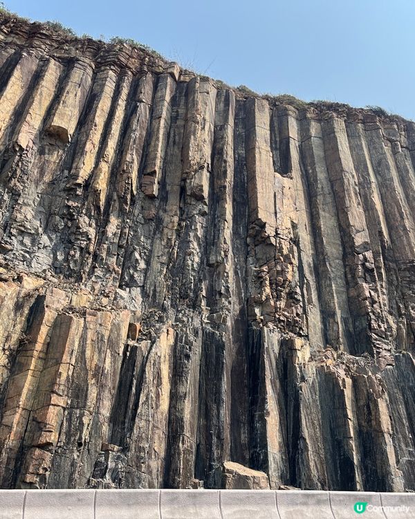 東霸包車好威風 🤩💳