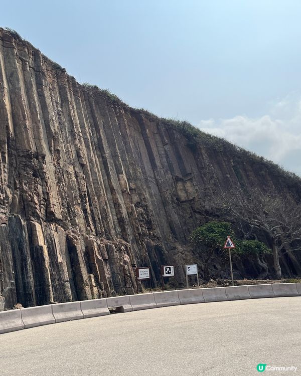 東霸包車好威風 🤩💳