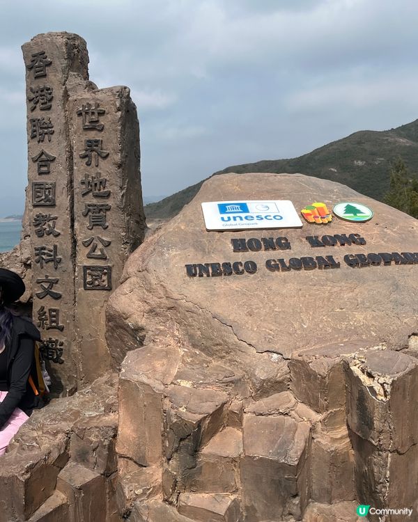 東霸包車好威風 🤩💳