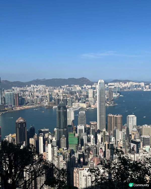 巴士山頂遊📉40分鐘落西營盤！🚶‍♀️👍