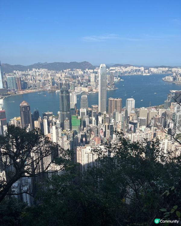 巴士山頂遊📉40分鐘落西營盤！🚶‍♀️👍