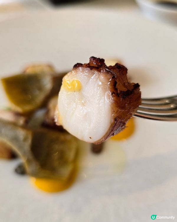 🌟中環米芝蓮三星午餐🤤🥢