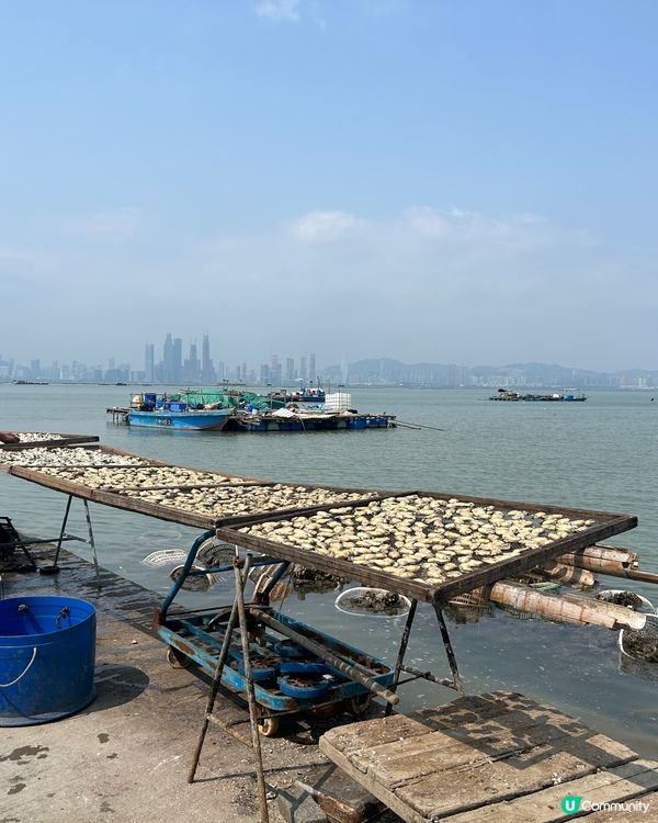 🎠香港本土情懷🎋