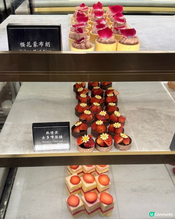 「甜品花園🌳 四小時吃到飽！🌸🌺」