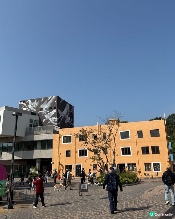 馬灣人氣打卡點