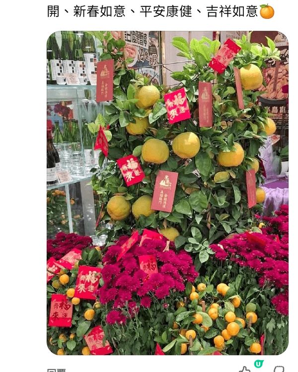 新年擺放鮮花與大吉盆栽，寓意花開富貴，大吉大利，增添滿室喜氣...