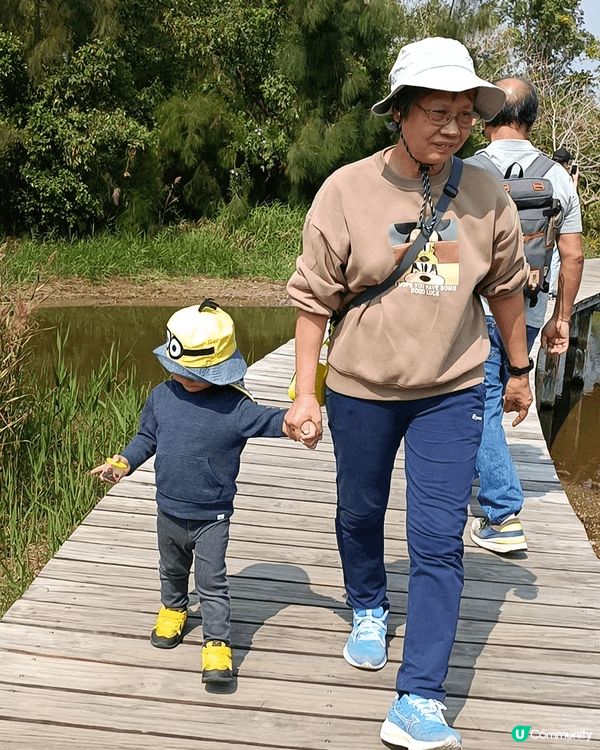 在濕地公園的木棧道上，陽光穿過蘆葦輕輕灑落。嫲嫲穩穩牽著兩歲...
