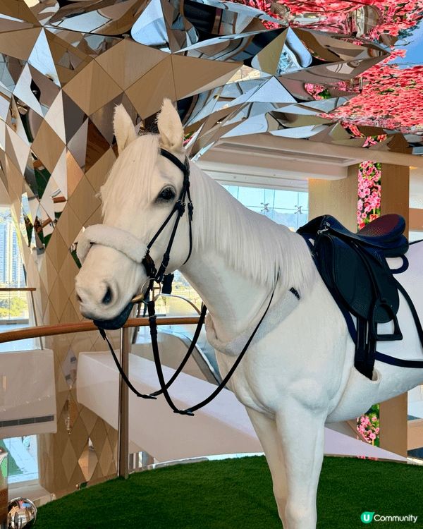 馬年必體驗的香港沙田馬場平民價新餐廳🐴天馬驛